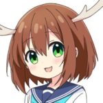 開発者