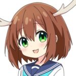開発者